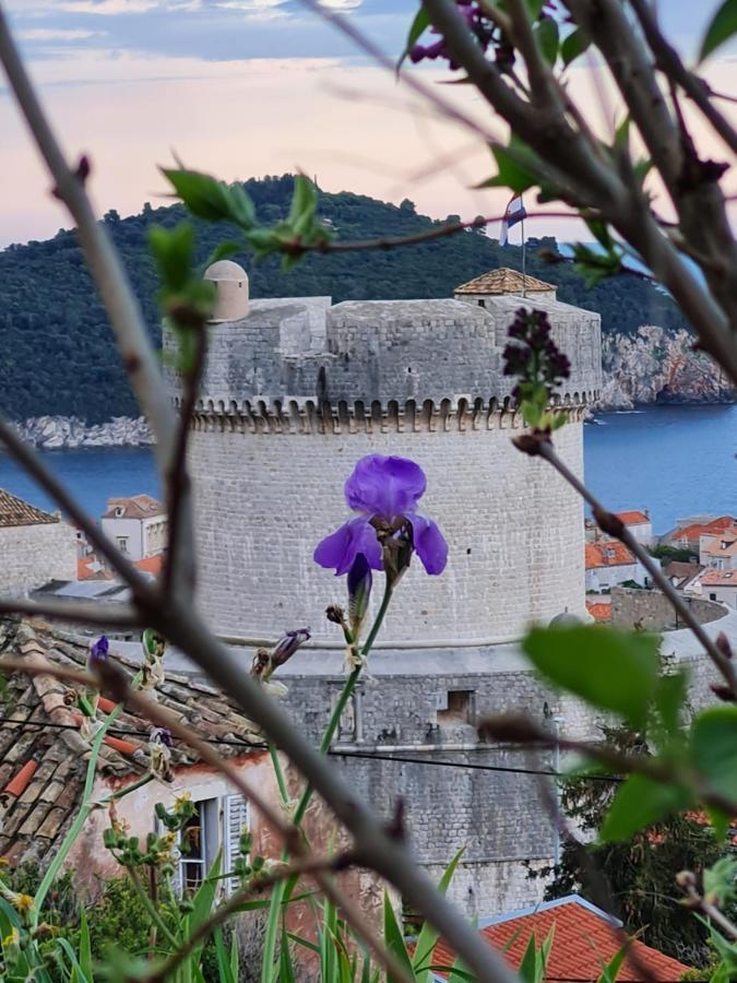 Apartment Bruana 5 Dubrovnik Eksteriør billede