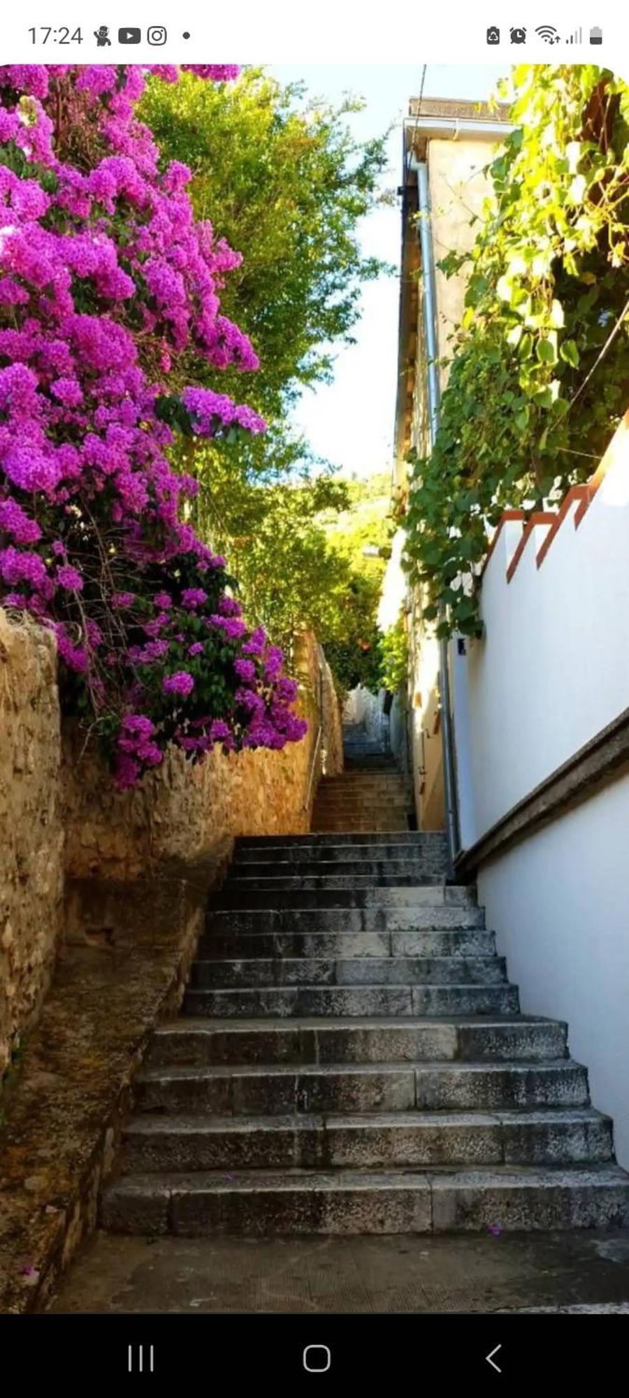 Apartment Bruana 5 Dubrovnik Eksteriør billede