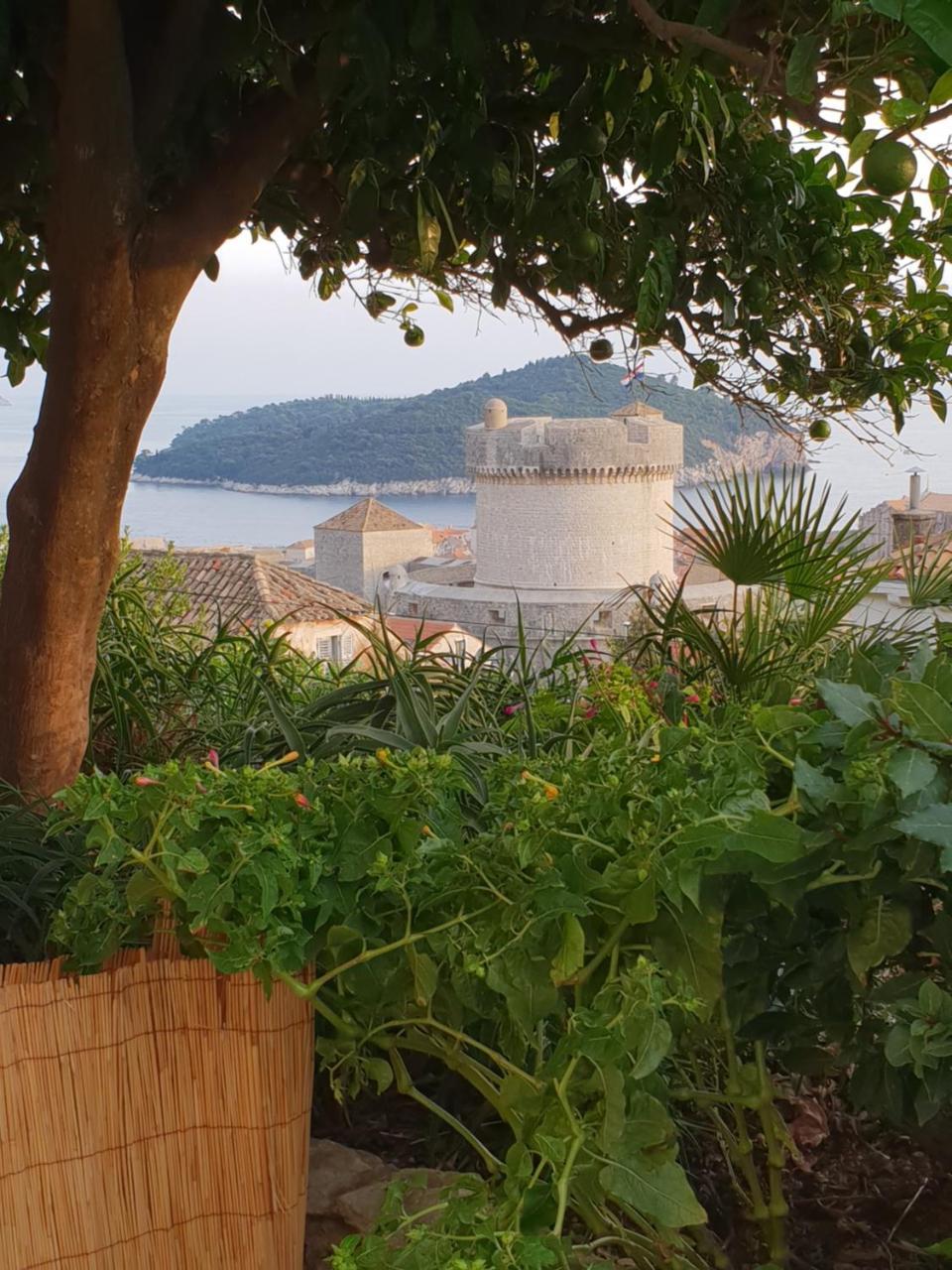 Apartment Bruana 5 Dubrovnik Eksteriør billede